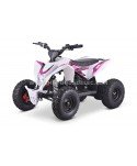 Quad 36V 1000W Adventurer Quad 36V 1000W Adventurer
