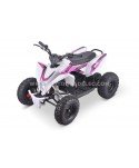 Quad 36V 1000W Adventurer Quad 36V 1000W Adventurer