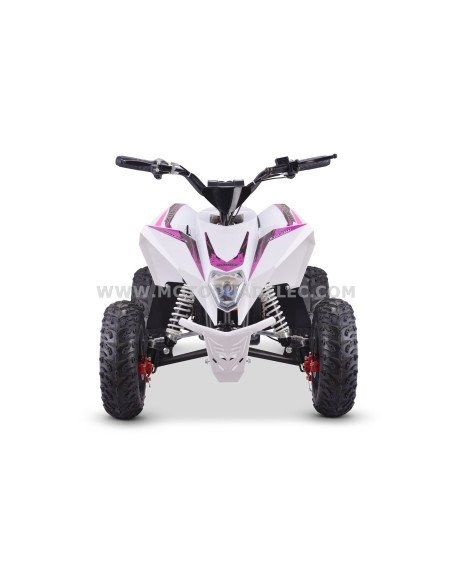 Quad 36V 1000W Adventurer