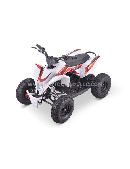 Quad 36V 1000W Adventurer