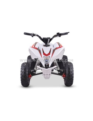 Quad 36V 1000W Adventurer