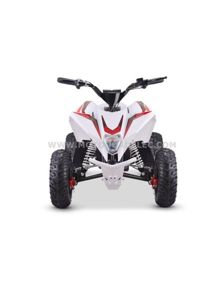 Quad 36V 1000W Adventurer