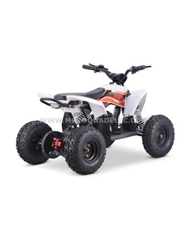 Quad 36V 1000W Adventurer