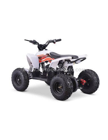 Quad 36V 1000W Adventurer