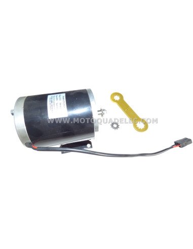 PETIT moteur électrique c.c. 700W 220V Zyt 110 - Chine Petit moteur  électrique CC, moteur électrique CC