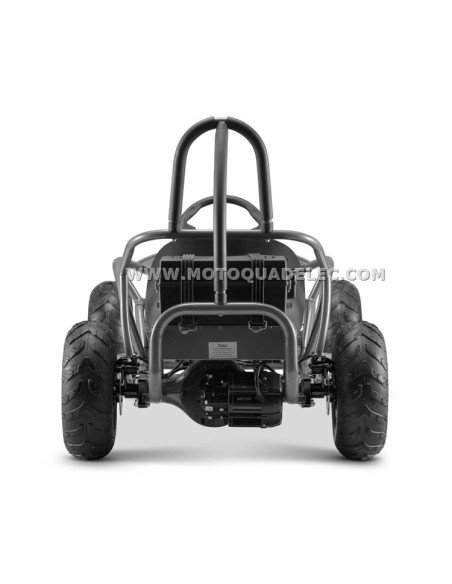 go kart buggy 48V 1000W brushless go kart buggy 48V 1000W brushless