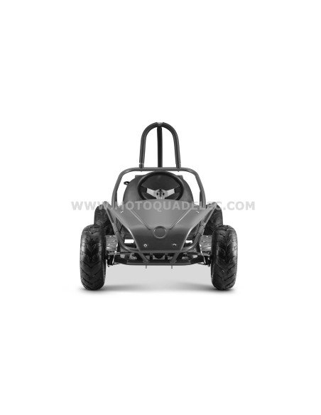 go kart buggy 48V 1000W brushless go kart buggy 48V 1000W brushless