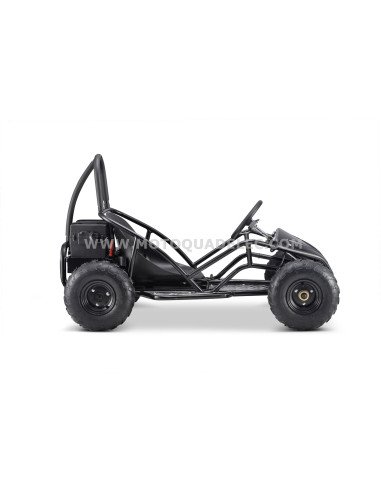 go kart buggy 48V 1000W brushless