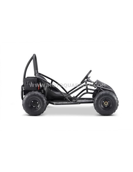 go kart buggy 48V 1000W brushless go kart buggy 48V 1000W brushless