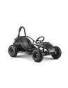 Go Kart Buggy 48V 1000W Brushless