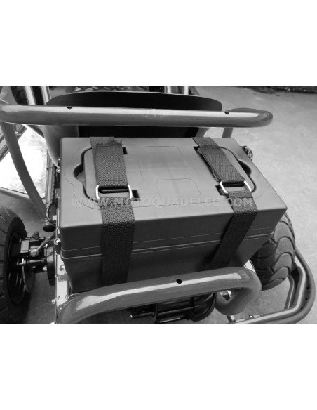 go kart buggy 48V 1000W brushless go kart buggy 48V 1000W brushless