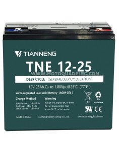 BATTERIE AGM TNE 12-25 12V 25Ah VRLA 2