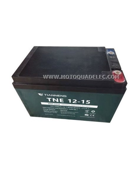 BATTERIE 12V15Ah TNE 12-15
