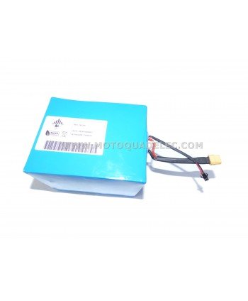 BATTERIE LITHIUM 48V 15Ah