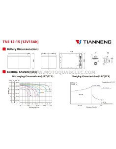 BATTERIE 12V15Ah TNE 12-15 2