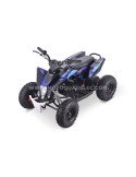 Quad 36V 1000W Adventurer Quad 36V 1000W Adventurer