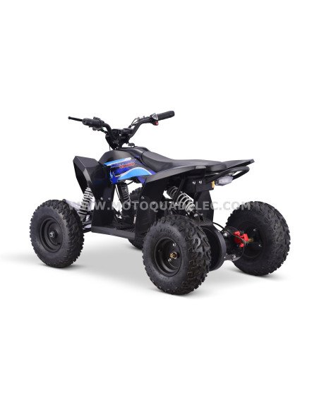 Quad 36V 1000W Adventurer