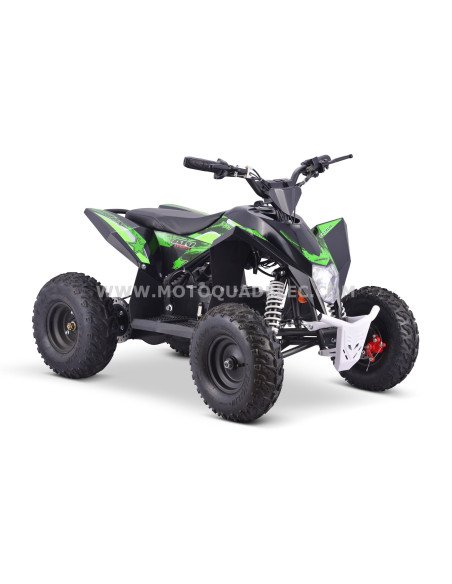 Quad 36V 1000W Adventurer