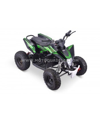 Quad 36V 1000W Adventurer