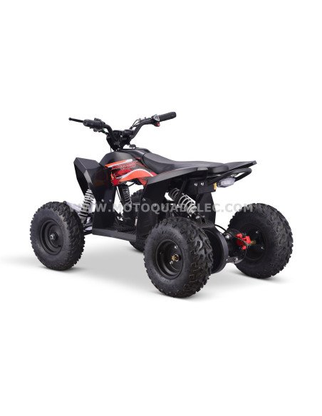 Quad 36V 1000W Adventurer