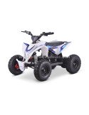 Quad 36V 1000W Adventurer Quad 36V 1000W Adventurer
