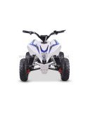 Quad 36V 1000W Adventurer Quad 36V 1000W Adventurer