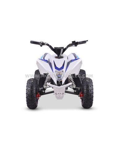 Quad 36V 1000W Adventurer