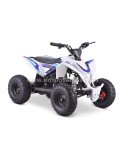 Quad 36V 1000W Adventurer Quad 36V 1000W Adventurer