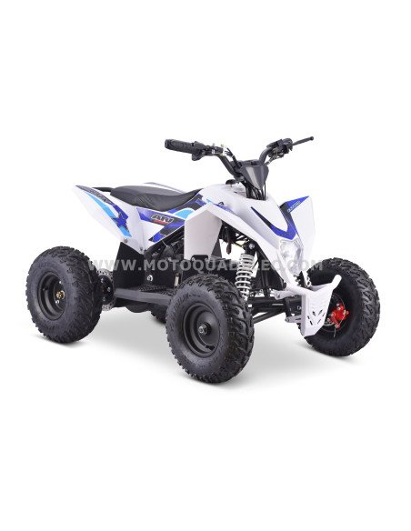 Quad 36V 1000W Adventurer