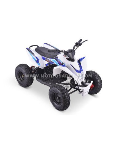 Quad 36V 1000W Adventurer