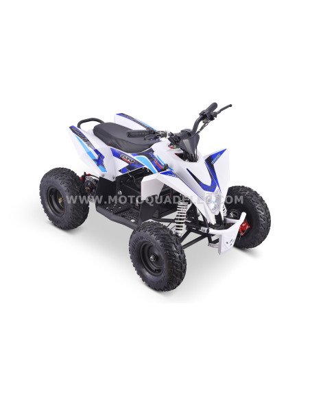 Quad 36V 1000W Adventurer