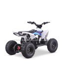 Quad 36V 1000W Adventurer Quad 36V 1000W Adventurer
