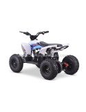 Quad 36V 1000W Adventurer Quad 36V 1000W Adventurer