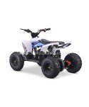 Quad 36V 1000W Adventurer Quad 36V 1000W Adventurer