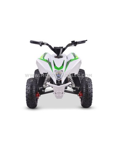 Quad 36V 1000W Adventurer