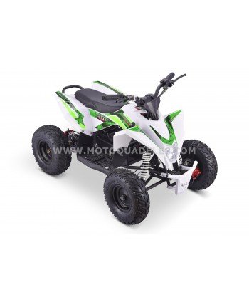 Quad 36V 1000W Adventurer