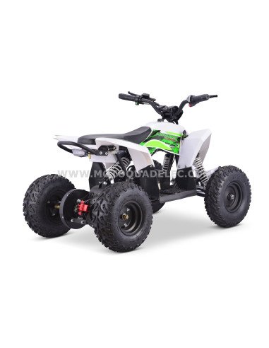 Quad 36V 1000W Adventurer