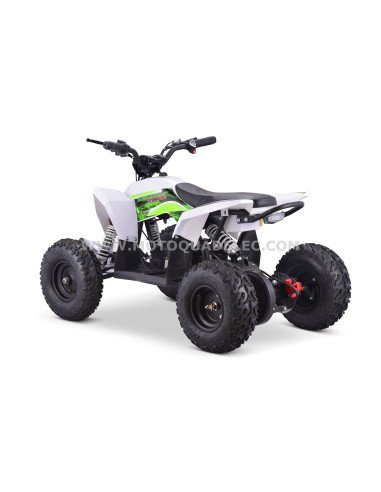 Quad 36V 1000W Adventurer