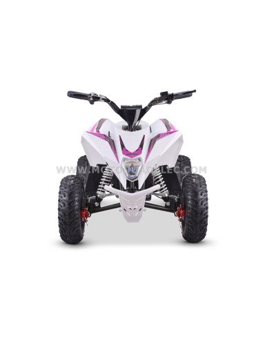 Quad 36V 1000W Adventurer