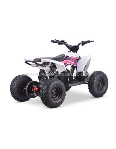 Quad 36V 1000W Adventurer