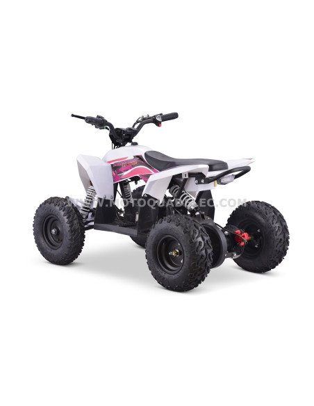 Quad 36V 1000W Adventurer