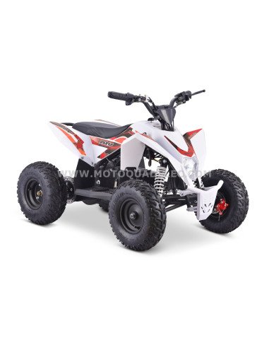 Quad 36V 1000W Adventurer