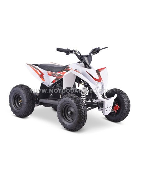 Quad 36V 1000W Adventurer