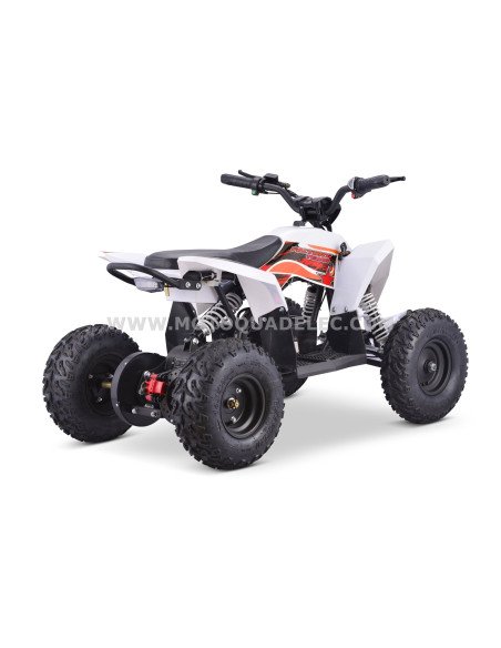 Quad 36V 1000W Adventurer