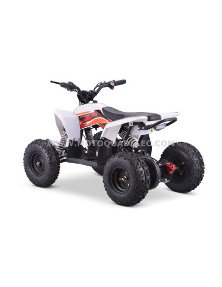 Quad 36V 1000W Adventurer