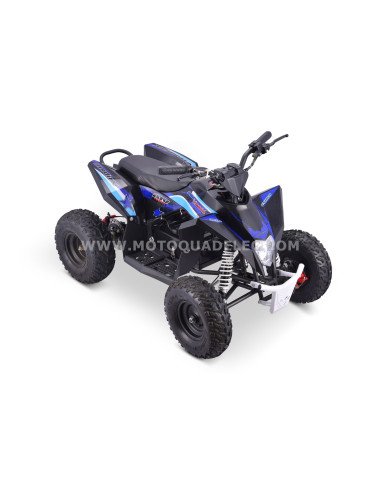 QUAD ADVENTURER 1300W 48V NOIR