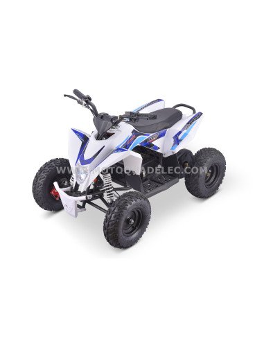 Quad 36V 1000W Adventurer