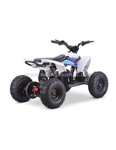 Quad 36V 1000W Adventurer