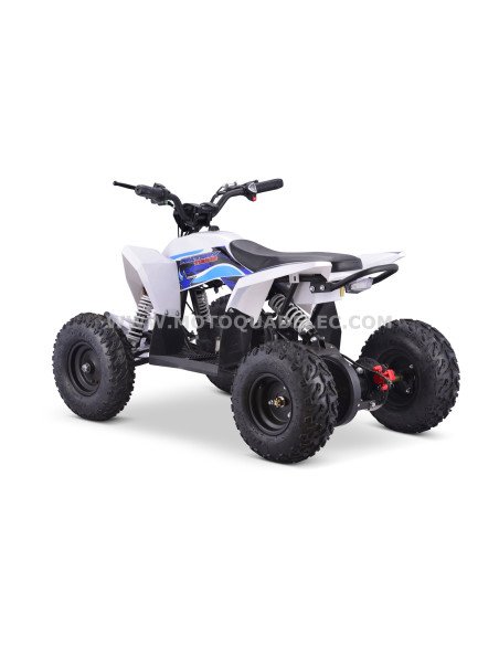 Quad 36V 1000W Adventurer