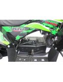 Quad 36V 1000W Adventurer Quad 36V 1000W Adventurer